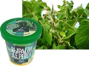 Набор для выращивания Вырасти Дерево! Орех сердцевидный