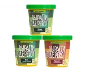 Подарок от родительского комитета Набор для выращивания Вырасти Дерево!   от 10 штук