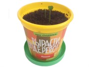 Набор для выращивания Вырасти Дерево! Лимон