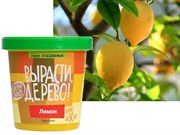Набор для выращивания Вырасти Дерево! Лимон