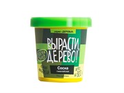 Набор для выращивания Вырасти Дерево! Сосна гималайская