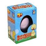 Домашний инкубатор Птенцы 1 птенец