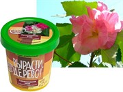 Набор для выращивания Вырасти Дерево! Сумасшедшая роза