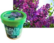 Набор для выращивания Вырасти Сирень Венгерская