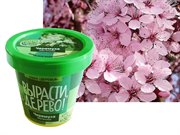 Набор для выращивания Вырасти Черемуха Виргинская