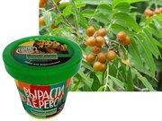 Набор для выращивания Вырасти Дерево! Мыльное дерево