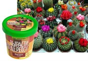 Набор для выращивания Вырасти Дерево! Кактусы (смесь)