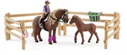 Всадник с ирландскими пони и аксессуарами Schleich