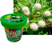 Помпонное дерево Набор для выращивания Вырасти Дерево!