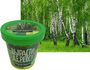 Русская березка Набор для выращивания Вырасти Дерево!