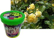 Роза золотая китайская Набор для выращивания Вырасти Дерево!