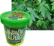 Набор для выращивания Вырасти дерево! Клён сахарный