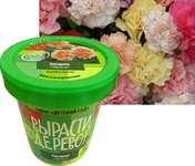 Набор для выращивания Вырасти дерево! Гвоздика гибридная