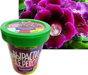 Набор для выращивания Вырасти дерево! Глоксиния гибридная