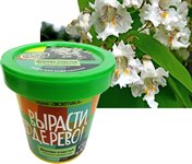 Набор для выращивания Вырасти дерево! Дерево счастья катальпа