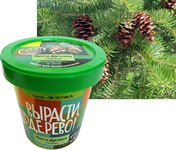 Набор для выращивания Вырасти дерево! Пихта Дугласа голубая