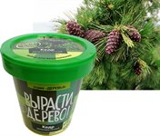 Набор для выращивания Вырасти дерево! Кедр дальневосточный