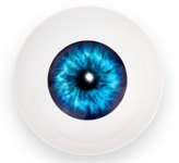 Магический шар ответов и предсказаний Глаз провидца The Magic 8 Ball