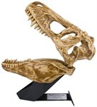 Настольный светильник Череп Тираннозавра с проекцией на стену Uncle Milton T-Rex In My Room