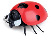 Робо-божья коровка робот Robo Life