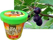 Набор для выращивания Вырасти Дерево! Инжир