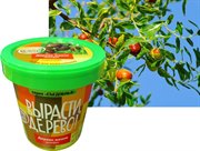 Набор для выращивания Вырасти Дерево! Дерево жизни зизифус