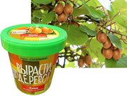 Набор для выращивания Вырасти Дерево! Киви