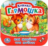 Книжка-гармошка Как живёте? Что жуёте? Умка