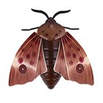 Робо-мотылек робот Robo Life Т16441