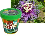 Набор для выращивания Вырасти Дерево! Маракуйя северная