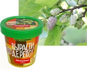 Набор для выращивания Вырасти Дерево! Шелковица белая