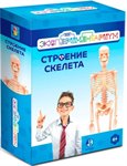 ЭКСПЕРИМЕНТАРИУМ Строение скелета научный набор Т17574